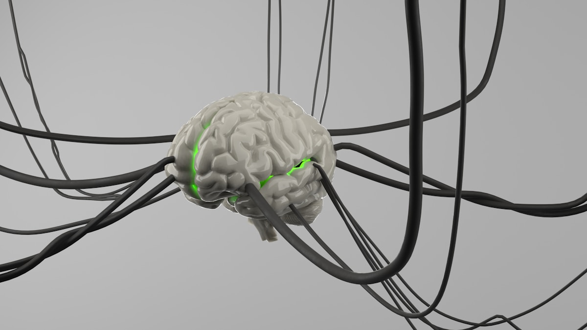 Neuroscience Part 2:  Spacing Effect